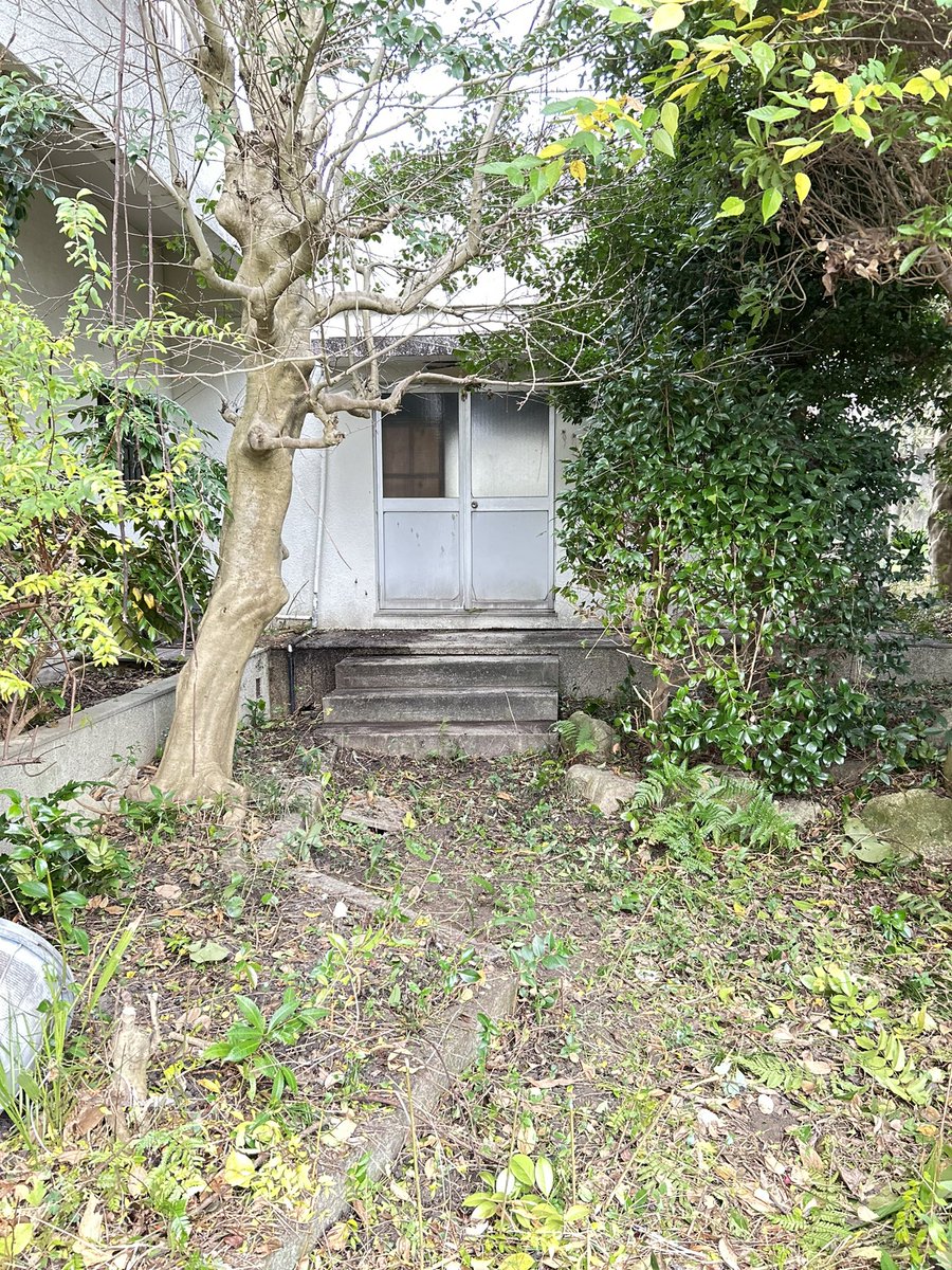 Sweet_Lab24's tweet image. だいぶスッキリ
明日は高圧洗浄