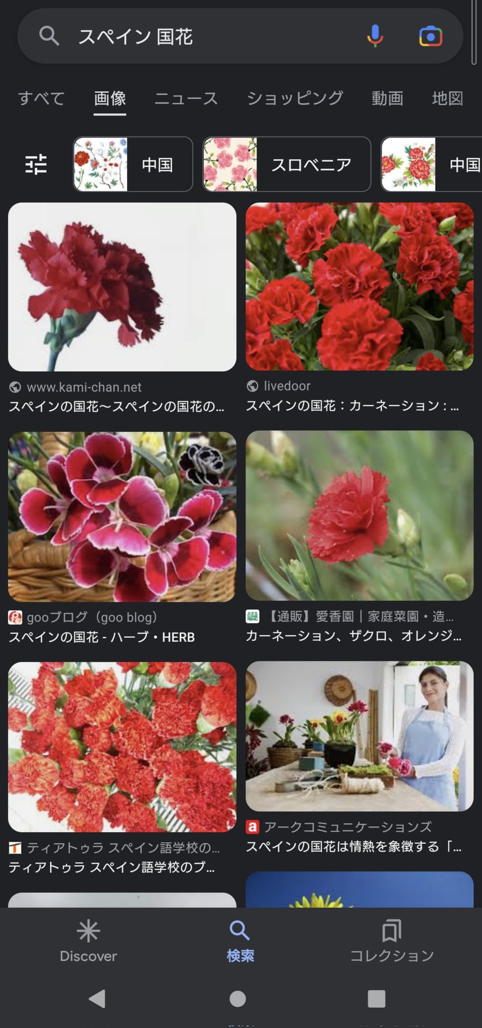 にすぃー ポケモンsvってそういうこと 国花がスカーレットとバイオレットだから T Co 2jcijqjent Twitter