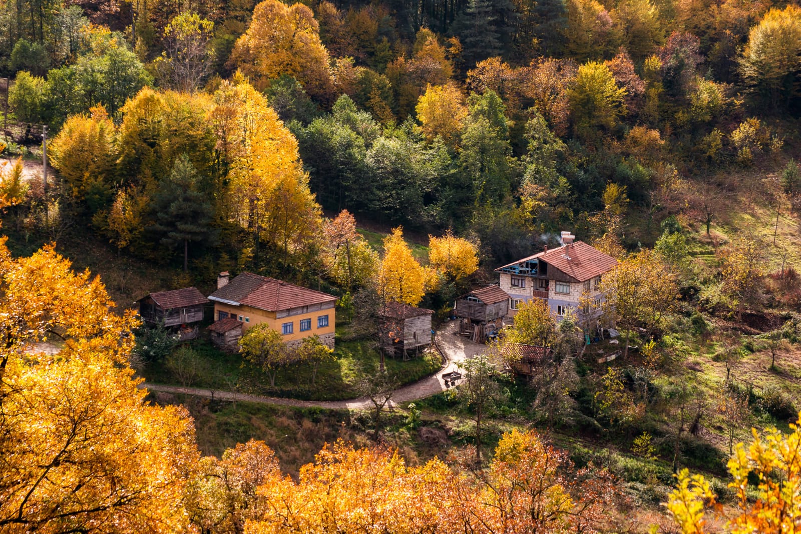 Улица осенью