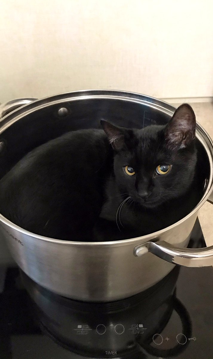 Good morning 🌌. Have a joyful Monday, frens! 
#nftfam #twitterartist