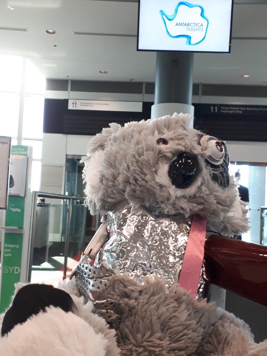 Gyle 🌻🇵🇭🇦🇺 8x💉 Taking it one day at a time.. tweet media