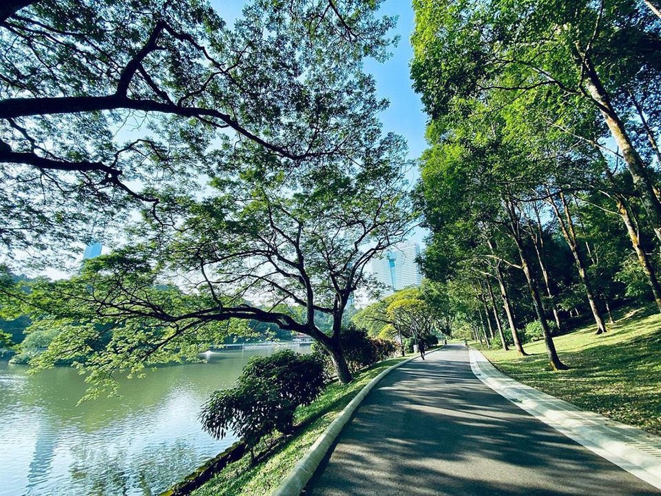 JalanCutiSantai's tweet photo. 5 taman yang cantik di Lembah Klang dan KL ! #Jalancutisantai

1. Taman Botani Perdana, KL https://t.co/gXZZAMo2DH