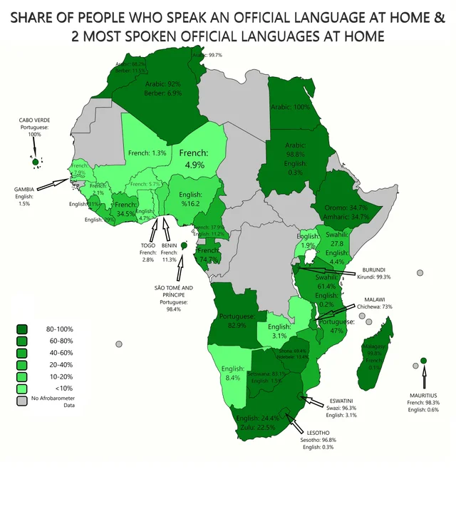 lupollichieni's tweet photo. #MapOfTheDay Which language do you speak at home? #Africa #francophonie #languages #languageandlaw #LanguageLearning https://t.co/aFKD6sLQw8
