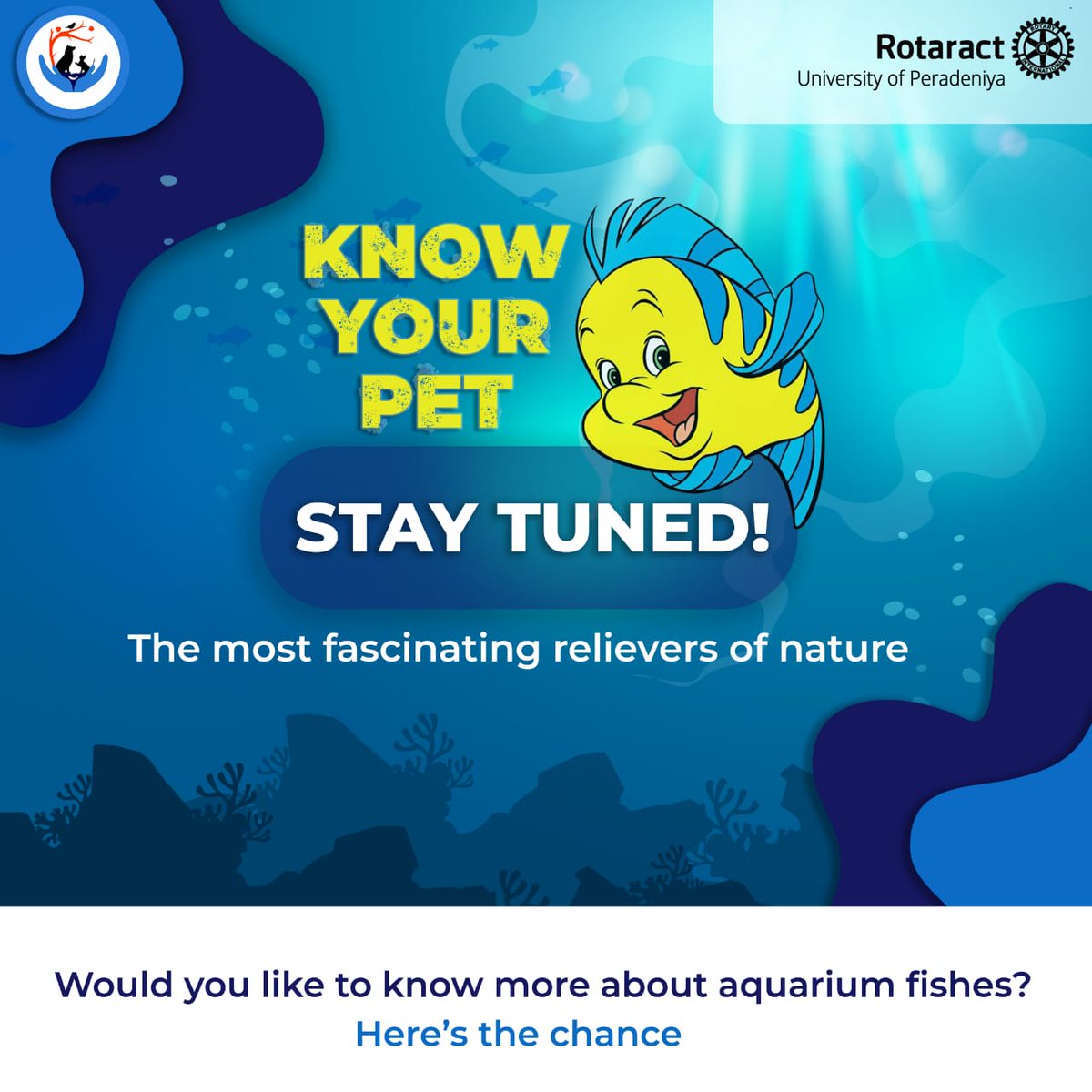 ROTARACT_Pera's tweet photo. Feeling stressed or tired?😰 Need an escape via nature?🍃
It's time to get a mind- soothing therapy💆🏼♂️💆🏻♀️ with colourful and peculiar fishes..
Wanna join ??..🐡
Stay tuned ..
#KnowYourPet
#RotaractPera
#Rotaract
#Rotaract3220
#ImagineRotary
#LearnServeandStrive https://t.co/Si0COQAWFe