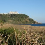 ツイートに含まれる画像