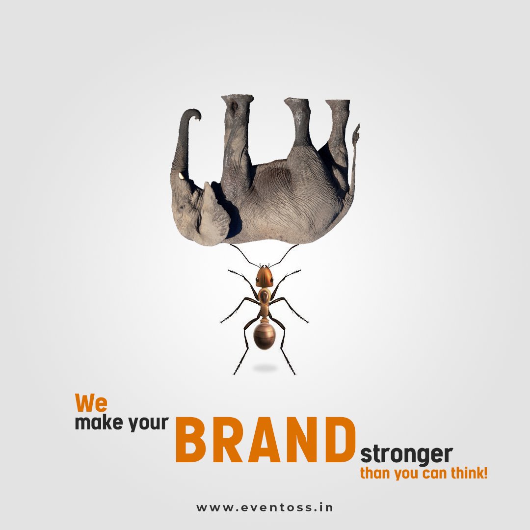 Eventossconnect's tweet photo. We make your brand stronger than you can think.
.
.
#Eventoss #TeamEventoss #Brandmarketing #prmarketing #agencylife https://t.co/de5S5zCDEx