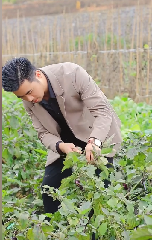 My hometown is a good place to heal. If you are tired one day, you can come to the countryside for a walk.