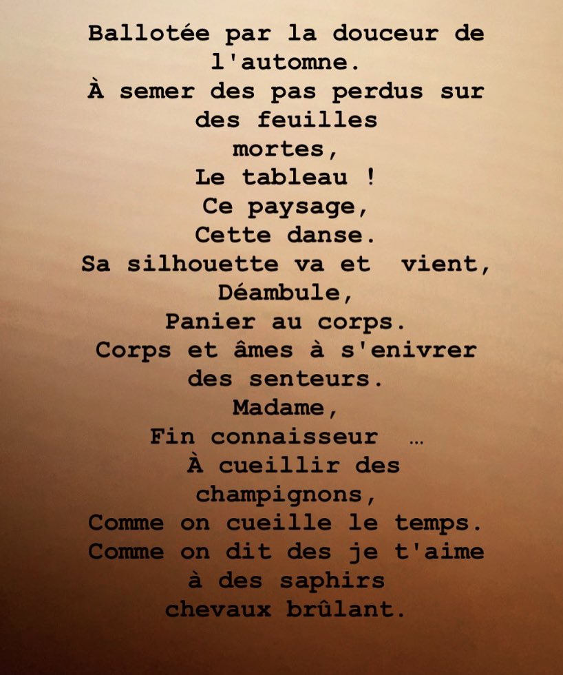 ClaSamaVous's tweet photo. Petrichor ..🍁 #nature #cueillette #champignon #ecriture #poeme #poesie #automne #saison #libre #freedom https://t.co/DGtwqy9jVD