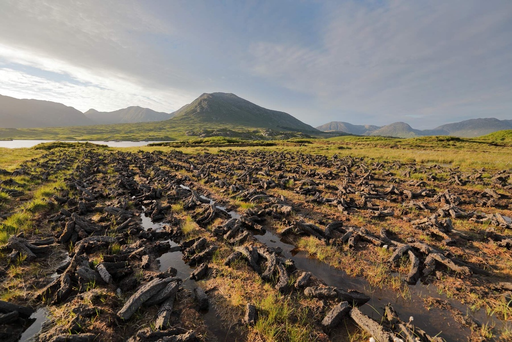 This turf might have to wait until next year. Book a stay in the Clifden Station House Hotel, direct, to get our best rates, always: bit.ly/3a8q75S #clifdenstationhouse