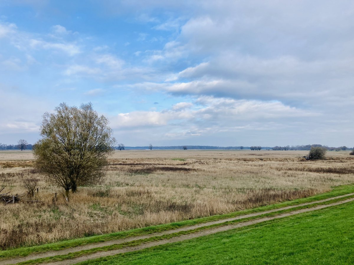 💚 Brandenburg unplugged 💚

📍 Rühstädter Elbdeichrundgang

#nachbrandenburg <a href="/DiePrignitz/">Die Prignitz</a>