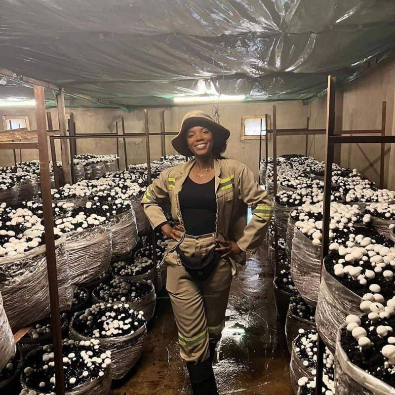agribusinesszw's tweet photo. Meet Charmaine and Michelle, the twins who left United Kingdom during Co-vid 19 pandemic to venture into agribusiness in Zimbabwe. While in Zimbabwe, they discovered there was high demand for mushrooms and a low supply, so they decided to venture into mushroom farming. https://t.co/uNYTc2OrbS