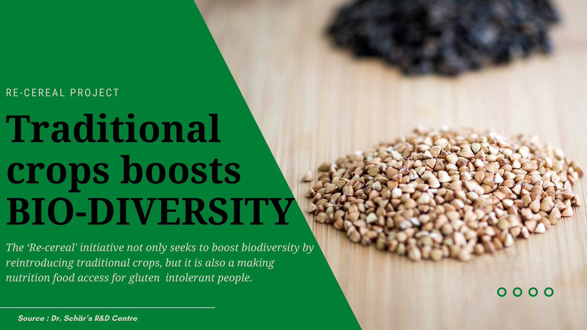 World_Chamber's tweet photo. Traditional crops preserve our bio-diversity and aim to improve the quality and yield as it plays a fundamental role in crop rotation.
#LetsAct to support #SmallHolderFarmers to grow traditional cereals. It will help to achieve Nutrition and Climate security.
#FarmingMonday https://t.co/b39wrbdLyp
