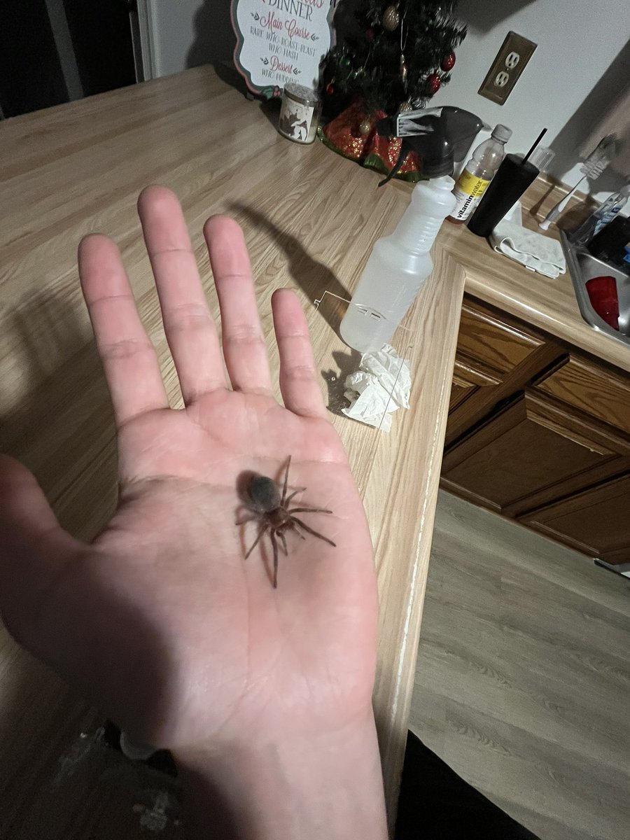 wonkwoop's tweet photo. he is becoming oh so large https://t.co/mbvFlHtFZN
