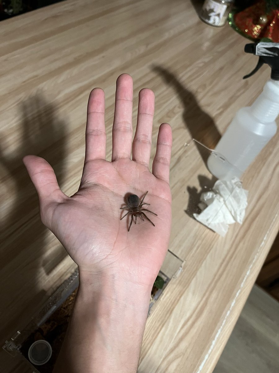 wonkwoop's tweet photo. he is becoming oh so large https://t.co/mbvFlHtFZN