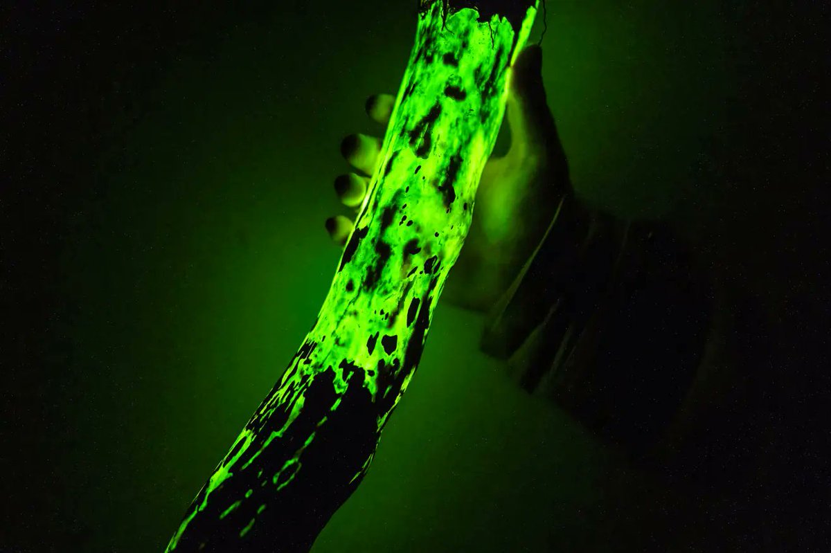 daily-loud-on-twitter-these-glowing-logs-washed-up-on-a-washington