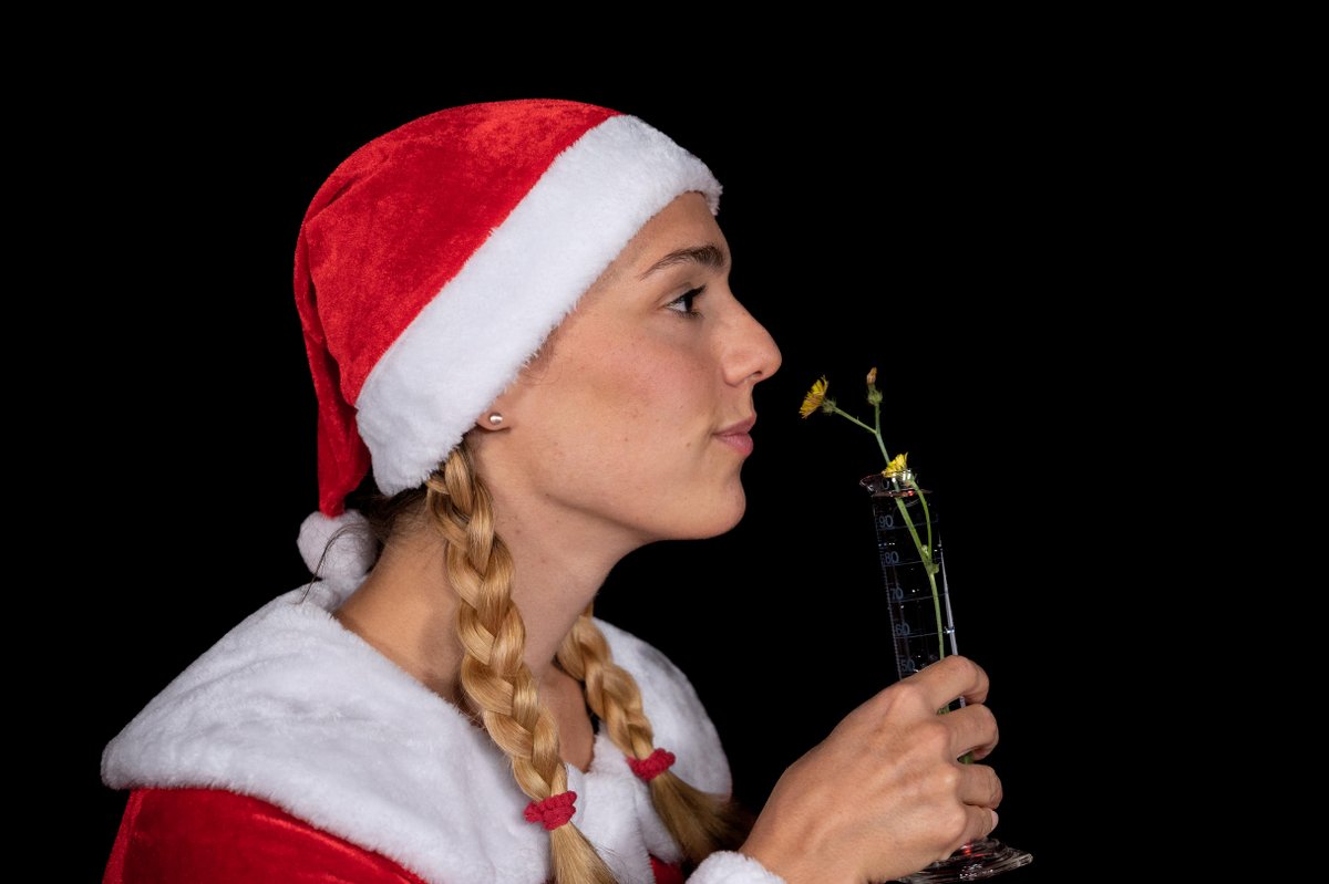 Noch 3 Tage bis zum Start von "PiA - Physik im Advent". Jetzt anmelden auf pos.li/2mk493

#Physik #Wissenschaft #Bildung #DigitaleBildung #Digitalisierung #Advent #Weihnachten #Schule #Lehrer #MINT #Lernen #Forschung #WissKomm #DigitalesLernen #Adventskalender #twlz