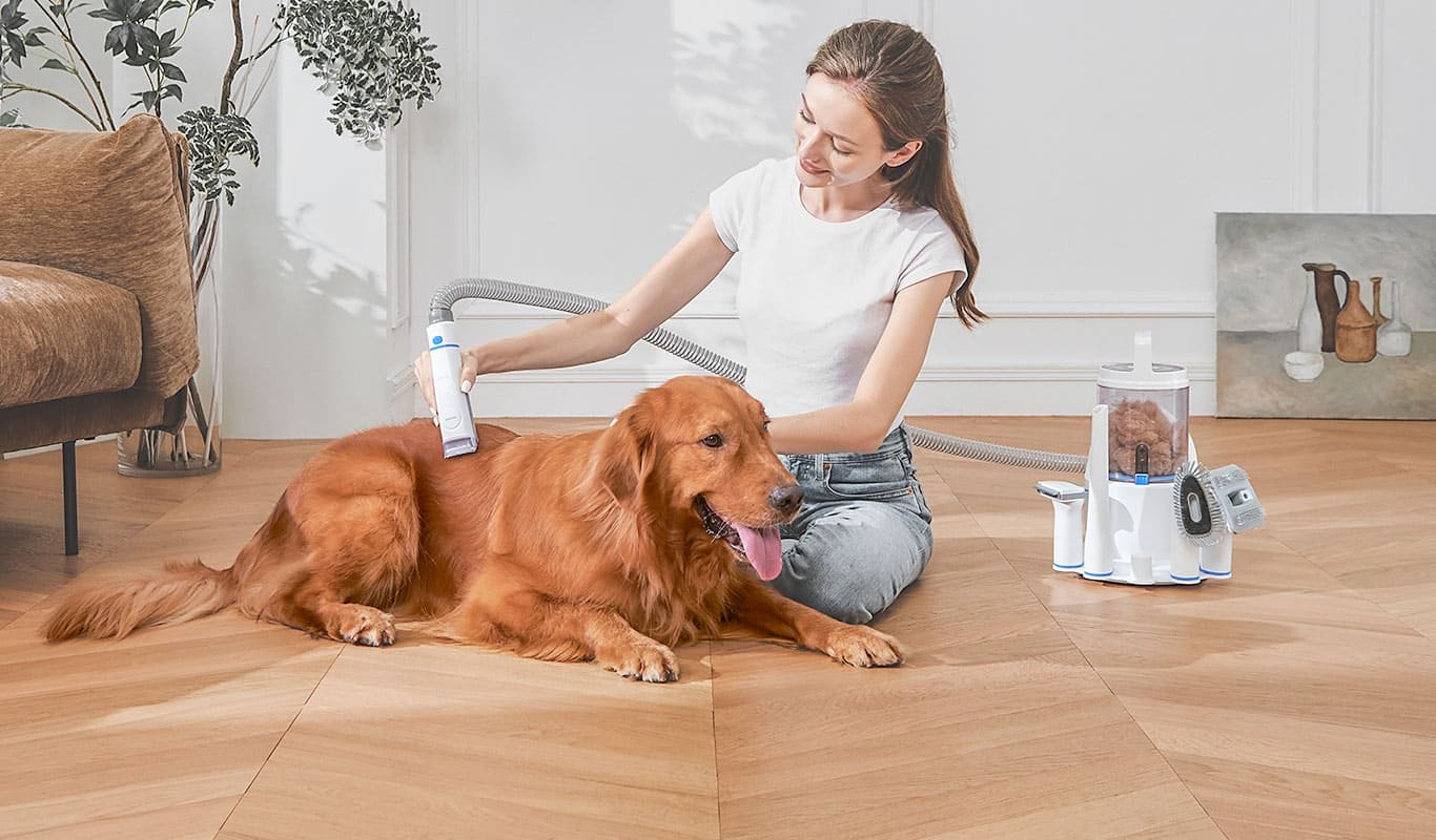 Is It Safe To Vacuum Your Dog