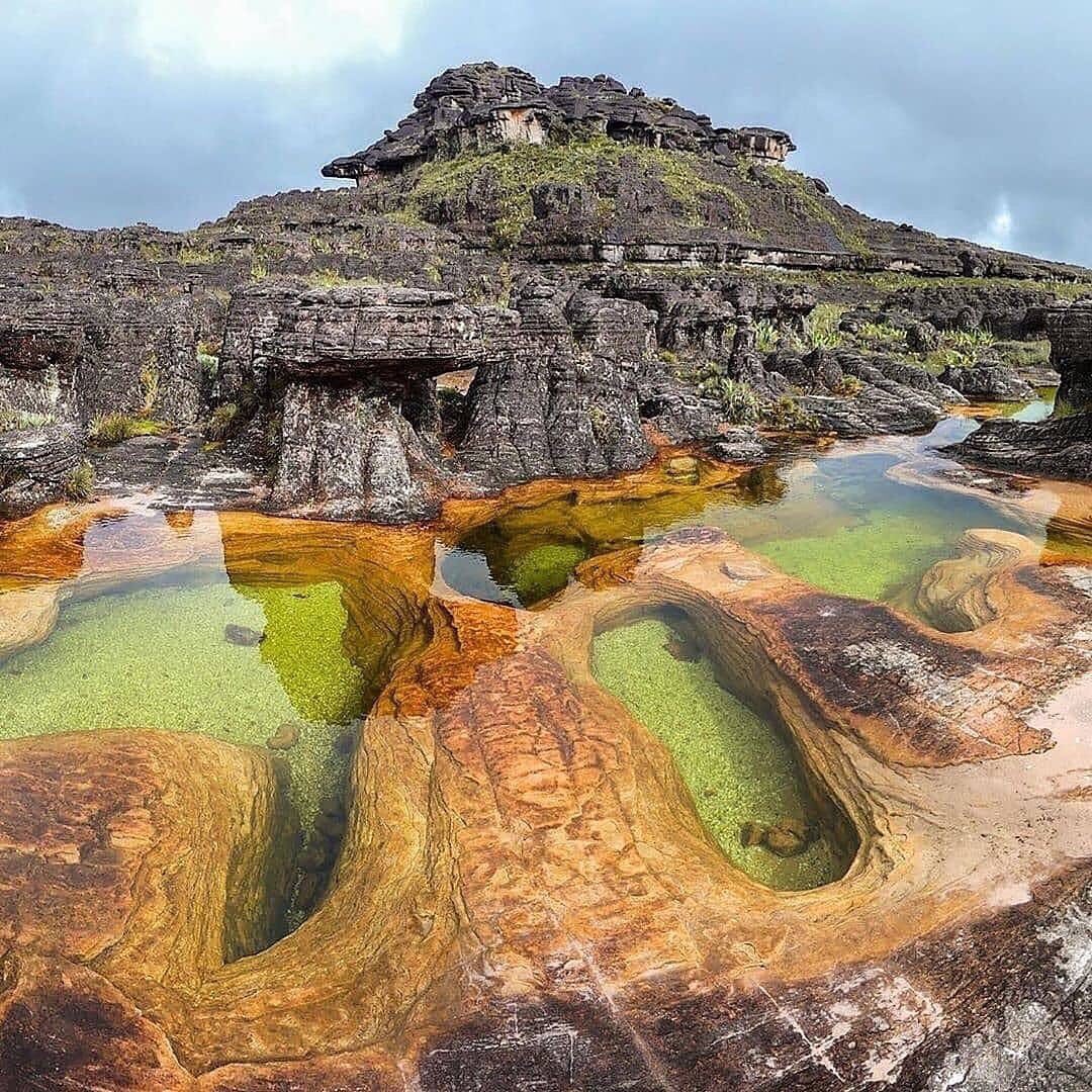 GianlucaCoccon1's tweet photo. Espectaculares 
JACUZZIS del RORAIMA o RORAIMA Tepuy a 2810 msnm, Parque Nacional CANAIMA…Edo Bolívar VENEZUELA 🇻🇪🇻🇪🇻🇪🇻🇪🇻🇪🇻🇪🇻🇪🇻🇪🇻🇪🇻🇪🇻🇪🇻🇪🇻🇪🇻🇪🇻🇪 https://t.co/yObjYP4X2A