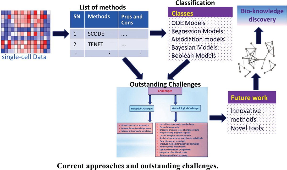 BenthamScienceP's tweet photo. Single-cell RNA sequencing is a rapidly growing field in transcriptomics!  #CBIO

Download and Read: https://t.co/zZEMAh0MDo

#Singlecell #genenetworks #classification #statisticalapproach #challenges #benthamscience https://t.co/x5MPDdm518