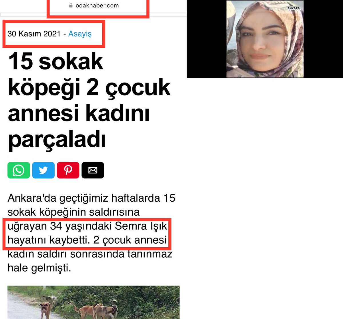 GuvenliSokaklar's tweet photo. KAMUOYUNA DUYURU

30 Kasım 2021 tarihinde Ankara’da 15 köpeğin saldırısına uğrayıp aslında AĞIR YARALANAN, aylarca tedavi gören ve hayatta olan Semra Işık o dönem bazı basın-yayın organlarında yanlış şekilde ÖLDÜ olarak verilmiştir. Kendisi bu duyuruyu yapmamızı istemiştir. https://t.co/bfykFqp9cm