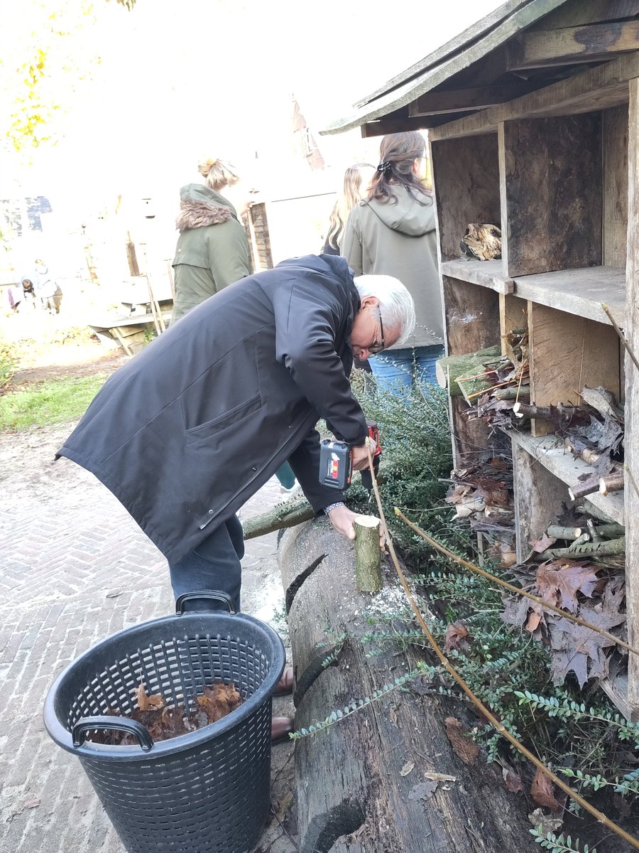 LBDrenthe's tweet photo. Wethouder Henk Doeven van de @gem_westerveld trapte afgelopen donderdagochtend het project #Bijles af. 70 Leerlingen van de Oosterveldschool in #Uffelte hebben, onder begeleiding van LBDrenthe en in samenwerking met @IVNRegioNoord, het schoolplein bij-vriendelijker ingericht. https://t.co/rAqBhpvaNz
