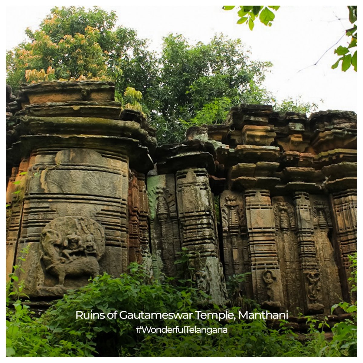 The beauty of #Manthani, a remote village of #Telangana is in the ruins of its ancient temples like #GautameswarTemple dedicated to Lord Shiva.

#WonderfulTelangana #Explore #TSTDC #TelanganaTourism