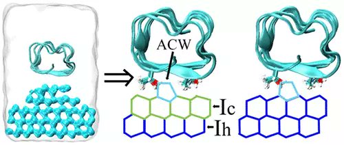JCIM_JCTC's tweet image. Hyperactive Antifreeze Proteins Promote Ice Growth before Binding to It #molecularmodeling
pubs.acs.org/doi/10.1021/ac… 
#current_issue #JCIM #compchem