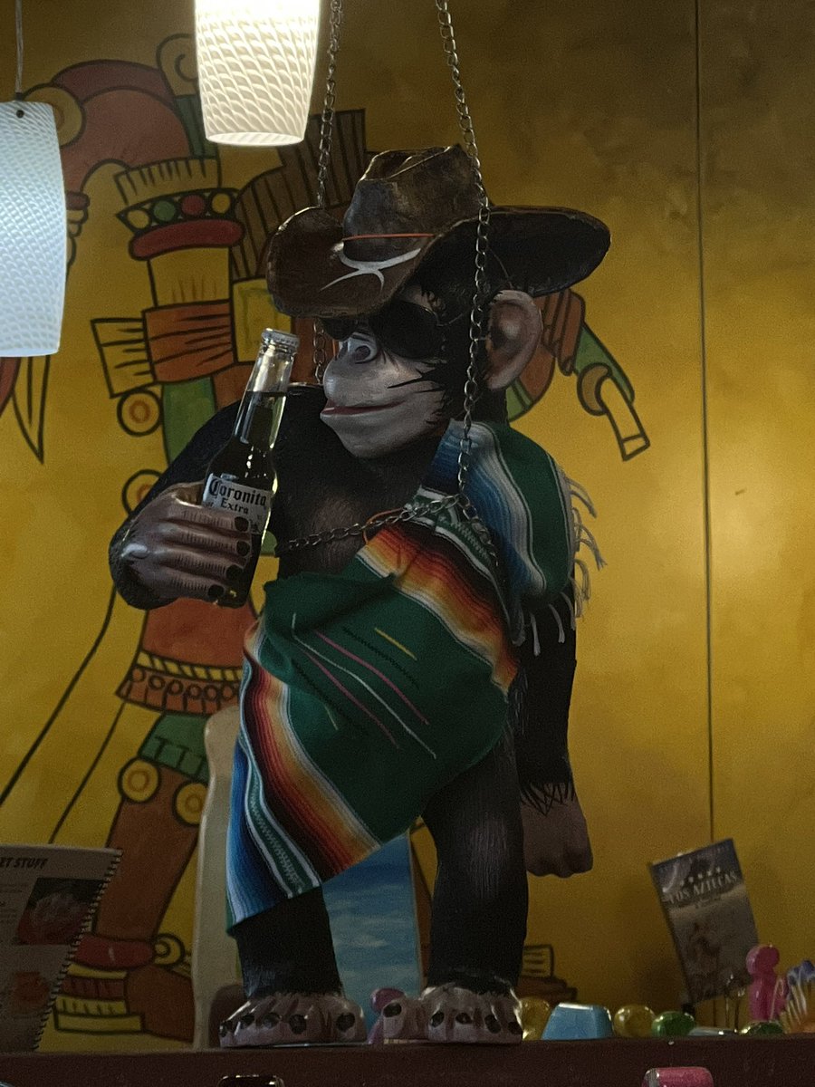 _givegrace's tweet photo. @notfoundream makes sense this monkey had defined balls under his poncho https://t.co/rOTKaokv3E