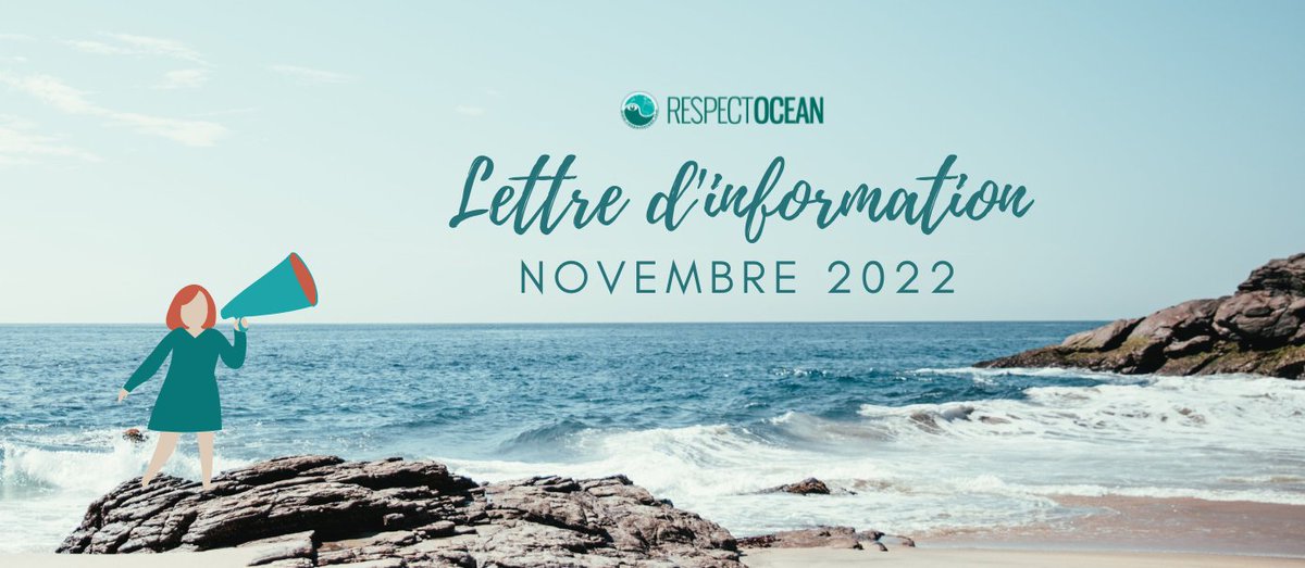 Respect_Ocean's tweet photo. 🔍🌊 [NEWSLETTER NOVEMBRE]
Parmi les sujets ce mois-ci :
📄 Déclaration des acteurs de l'Océan : 126 signataires
📄RespectOcean recherche son prochain moussaillon !
📄 Bienvenue à #SIDON, #ETYC
📄 Les actualités des membres, les AAP, les ressources, etc
▶️ https://t.co/DCvJle15Rd https://t.co/7EwGSgvsEK