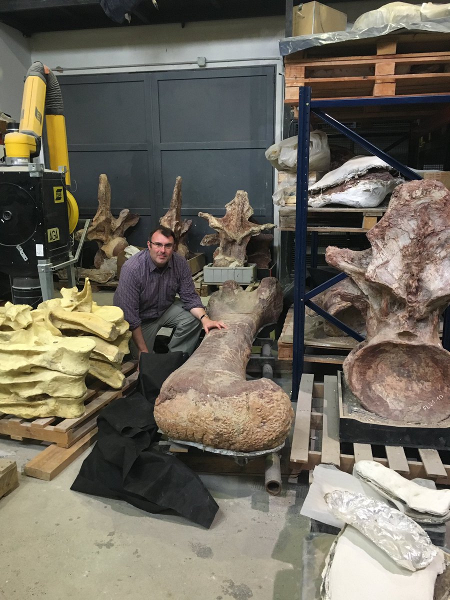 NHMdinolab (@nhmdinolab) on Twitter photo For those wondering about the scale of Patagotitan here’s me getting up close and personal with real thing <a href="/mefpatagonia/">MuseoEgidioFeruglio</a> - it’s going to be a tight fit, even in our largest gallery <a href="/NHM_London/">Natural History Museum</a> For those wondering about the scale of Patagotitan here’s me getting up close and personal with real thing <a href="/mefpatagonia/">MuseoEgidioFeruglio</a> - it’s going to be a tight fit, even in our largest gallery <a href="/NHM_London/">Natural History Museum</a>