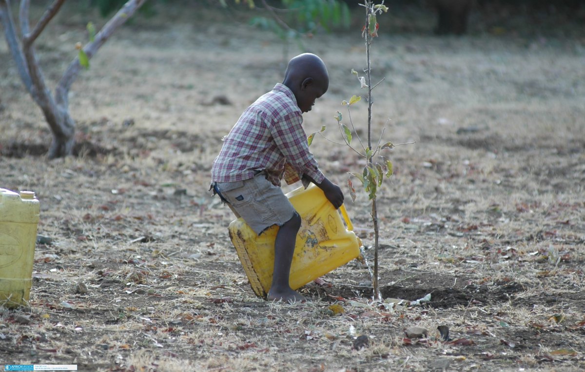 Domani sarà il <a href="/GivingTuesdayIT/">GivingTuesday Italy</a> e noi, come ogni anno, partecipiamo al contest fotografico associato. Anche tu puoi darci una mano: vota la nostra foto scattata dal grande Prospero Cravedi!!!
Annaffia la vita 👇
givingtuesday.it/progetti/annaf…