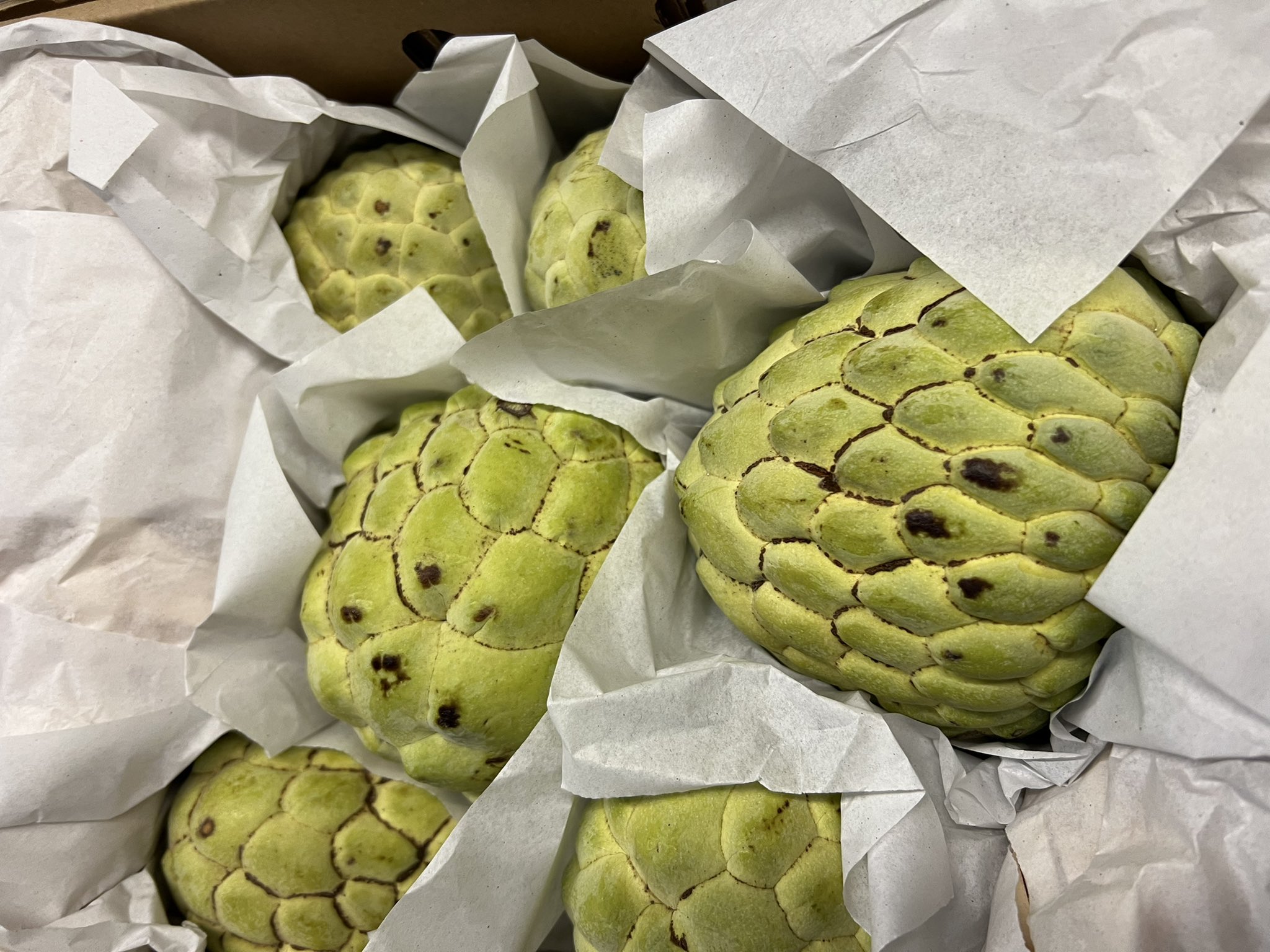 Shipleys Foodservice on Twitter "fresh https//t.co/L8PH47AM7o" / Twitter