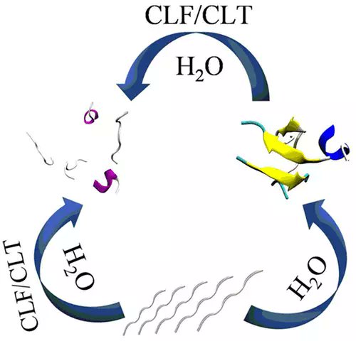 JCIM_JCTC's tweet image. Inhibition of Aβ16–22 Peptide Aggregation by Small Molecules and Their Permeation through POPC #LipidBilayer: Insight from #MolecularDynamics Simulation Study 
pubs.acs.org/doi/10.1021/ac… 
@rabi_compchem 
#current_issue #JCIM #compchem