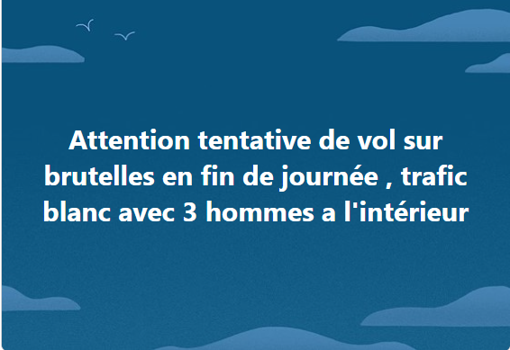 🚨🚨🚨🚨🚨🚨🚨🚨🚨🚨🚨🚨🚨🚨🚨🚨
#Brutelles #somme #HautsdeFrance #dpt80 
#chienvolé #chatvolé