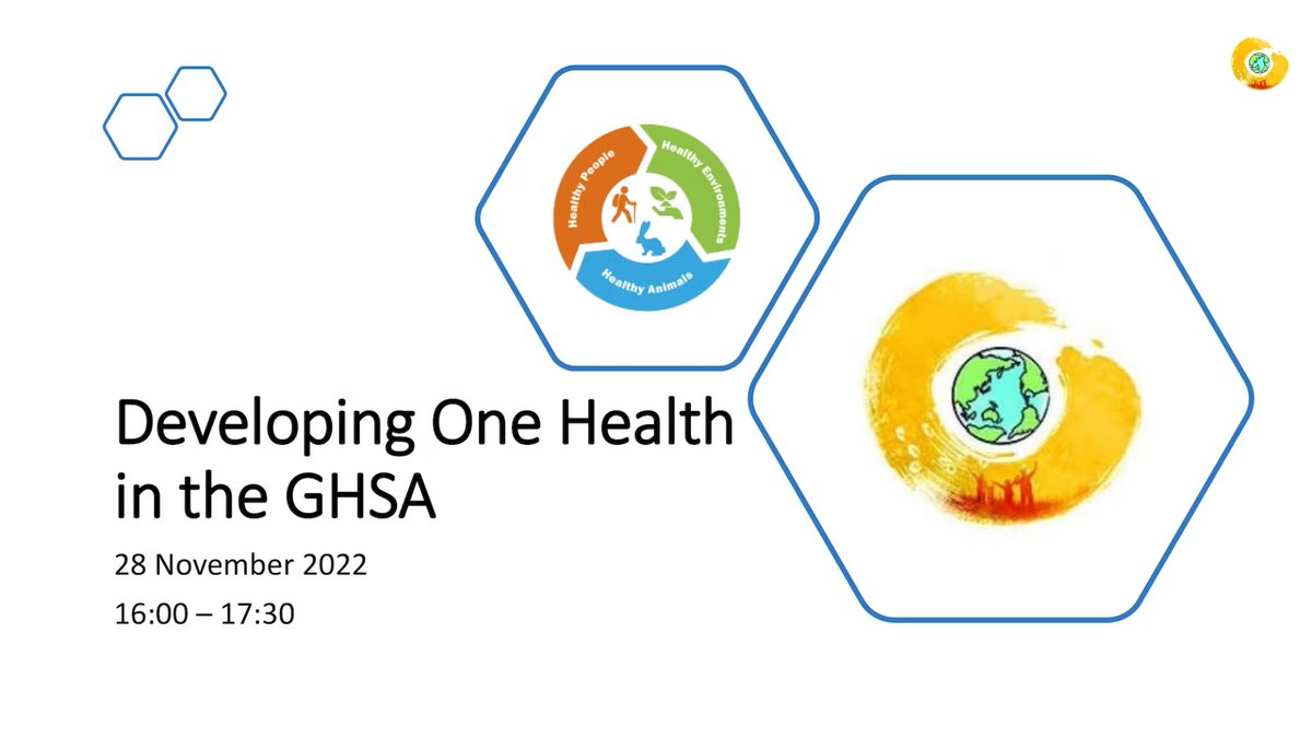 Today at #ghsa2022 the #ZDAP and #AMR chairs hosted a side event on how we can collectively strengthen #OneHealth in @GHSAgenda. So great & rewarding to work with our Dutch and Pakistani colleagues on this session.