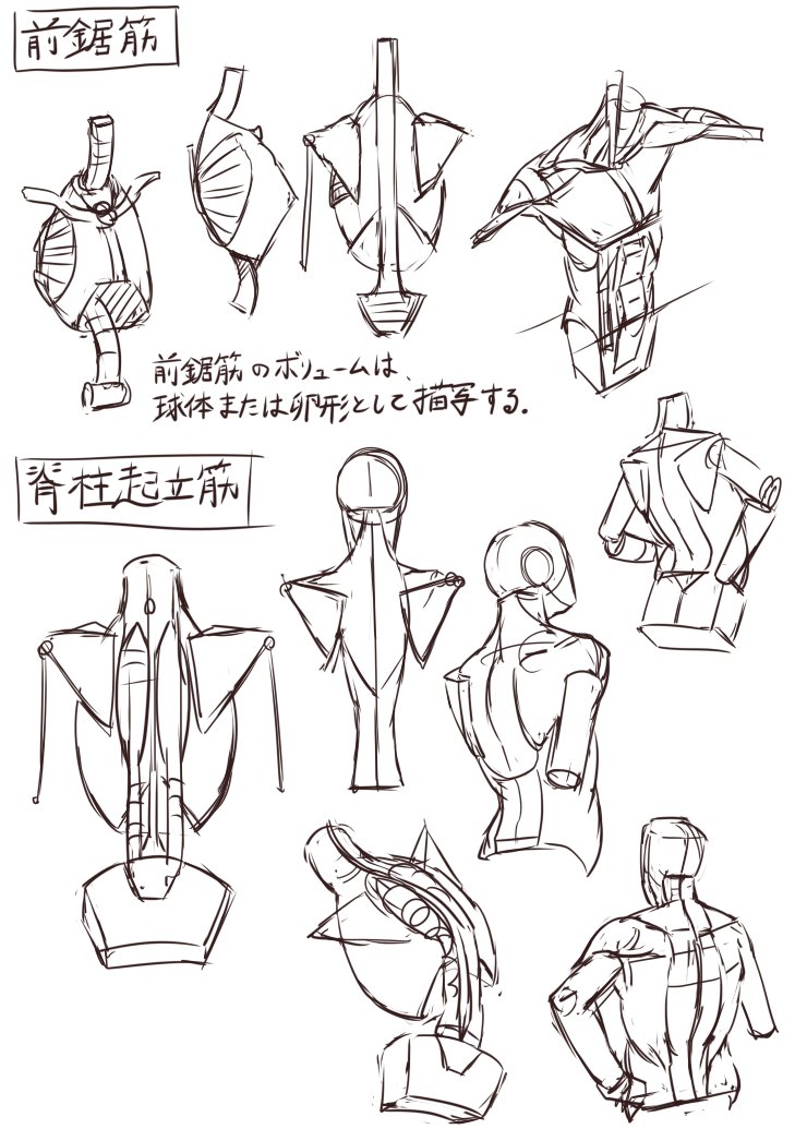 練習62日目
マイケル・ハンプトンの人体の描き方の模写 