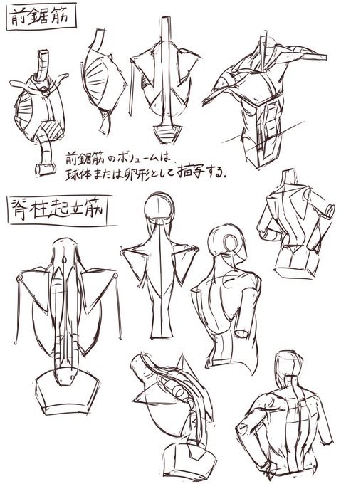 練習62日目
マイケル・ハンプトンの人体の描き方の模写 