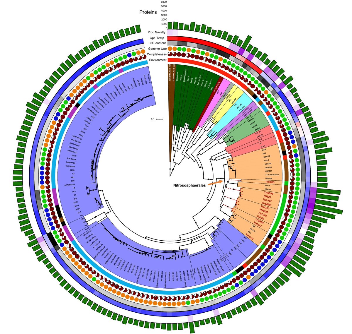 Microbial genomics post-doc position now open in my lab: abdnjobs.co.uk/vacancy/resear… Funded for 18 months by the Royal Society. Please apply or RT!!