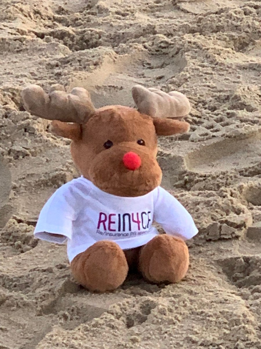 Rein4ce PR & Comms tweet media