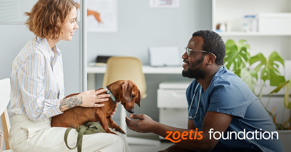 DADeVries's tweet photo. Applications for the 2023 Zoetis Foundation/@AAVMC Veterinary Scholarship are now open! Through the #scholarship, the Zoetis Foundation aims to foster a thriving and inclusive #veterinary profession. Students can learn more &amp; apply by 12/15 here: https://t.co/cYxkLATTe4 https://t.co/XxrxvnzznR