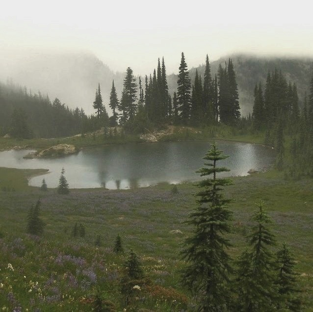 rainy day.