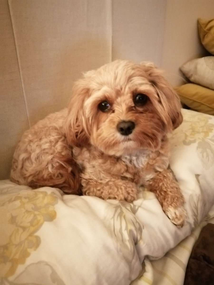 Chatters71 tweet media