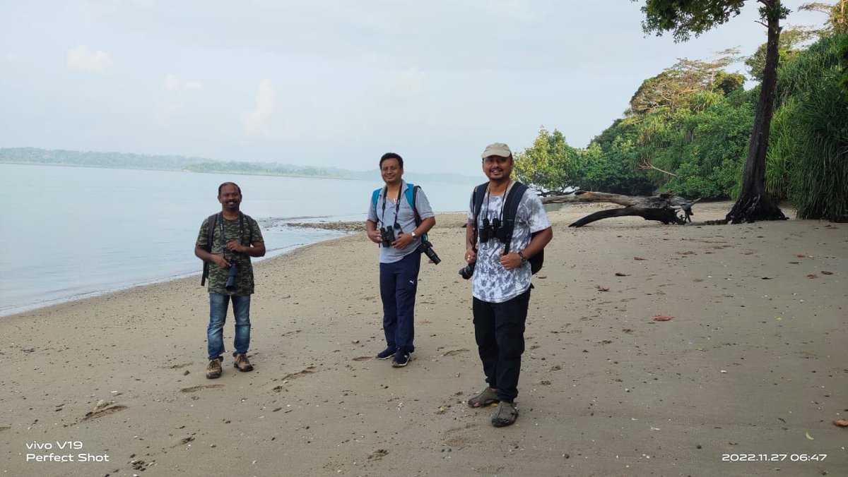 Monthly Birding Weekend #November
#birding
Coordinator - Salman Khan 

Come join us for natural fun and support us to nurture more

Congratulations @PDPrasad23    for a magnificent sighting of Oriental Turtle Dove 1st Record from South Andaman county and 2nd for A&N Islands