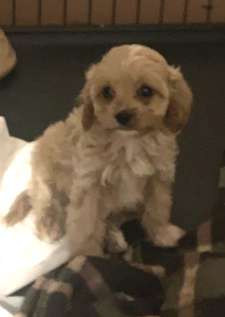 Chatters71 tweet media