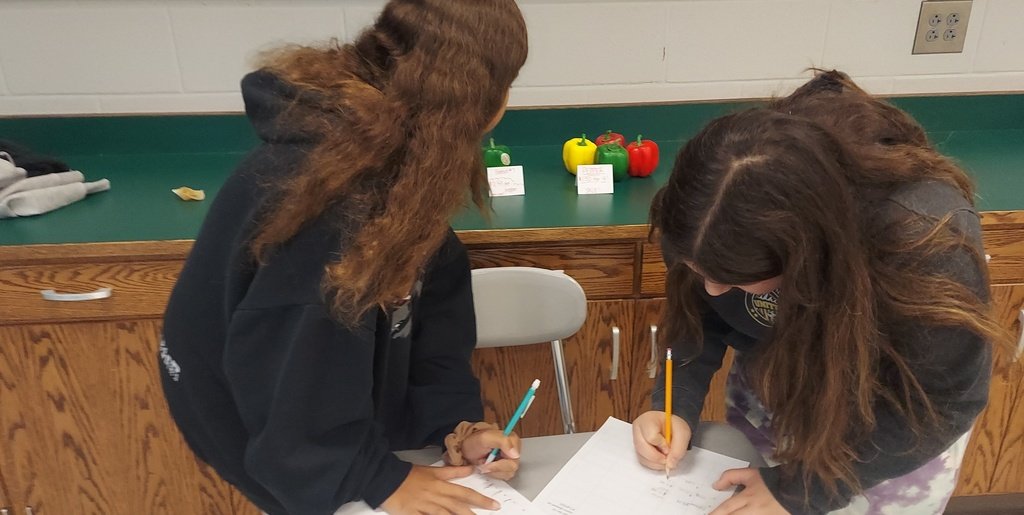 NCMS_STEM's tweet photo. Mrs. Hudson's 6th grade math classes visited a "mock" market. While in the market, students calculated the unit rate for each sales price. Then they compared the unit price to the individual price. #groundedandgrowing https://t.co/4qWTovWO8l