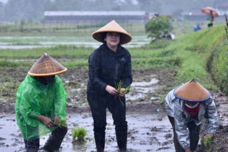 <a href="/neohistoria_id/">neohistoria Indonesia</a> Foto seorang petani yg nanam pake baju mahal.