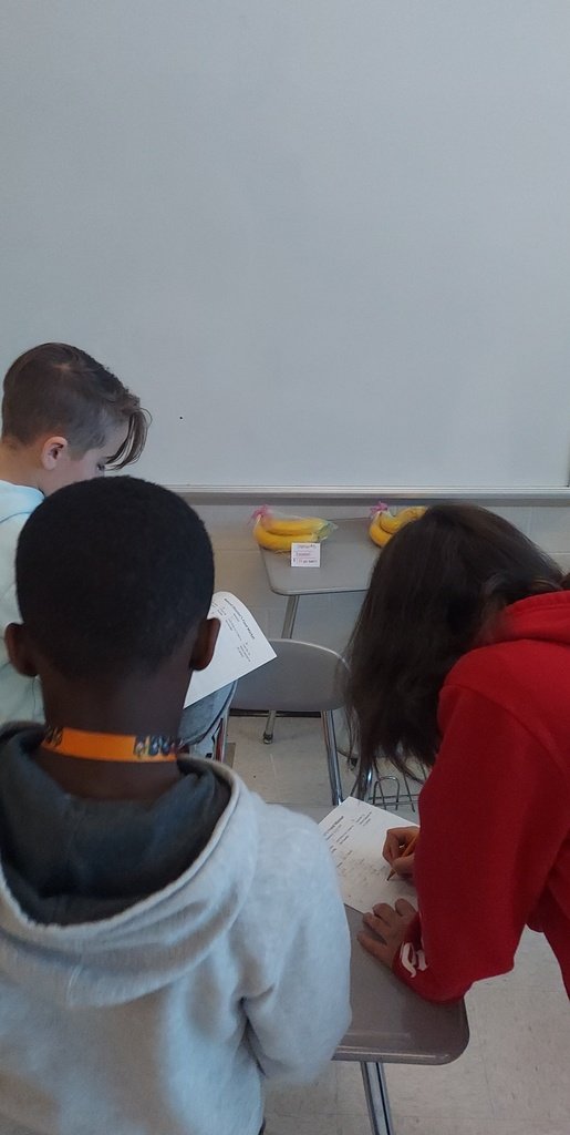 NCMS_STEM's tweet photo. Mrs. Hudson's 6th grade math classes visited a "mock" market. While in the market, students calculated the unit rate for each sales price. Then they compared the unit price to the individual price. #groundedandgrowing https://t.co/4qWTovWO8l