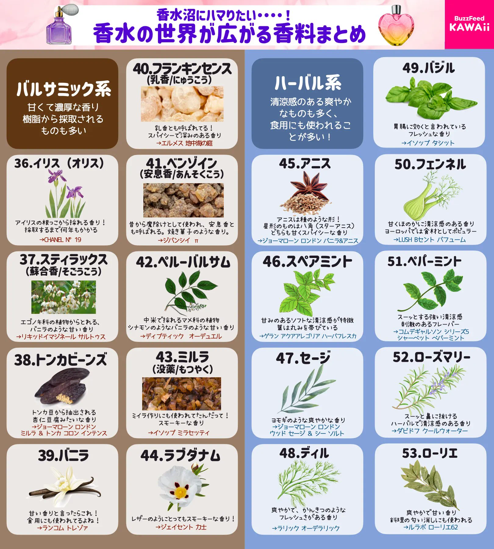 すごく勉強になる！いろいろな「香料」をとっても分かりやすくまとめた画像が話題に！