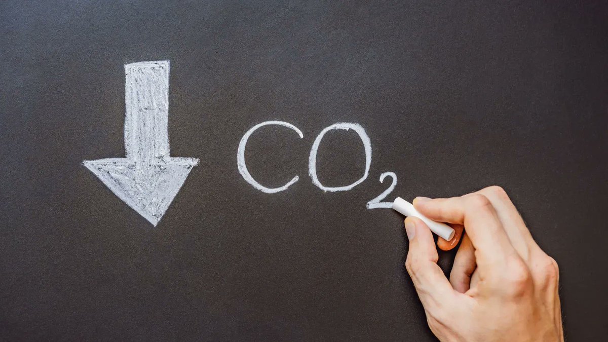 We saved 5.49 tonnes of CO2 in October. 

As the year draws to a close, we can look back with pride that we’ve contributed to lowering the world’s carbon emissions. 

#CSR #Carbonfootprint #CO2