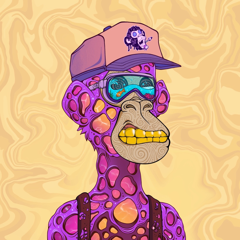 Mihai Bona tweet media